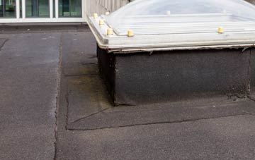 disadvantages of Brobury flat roofs